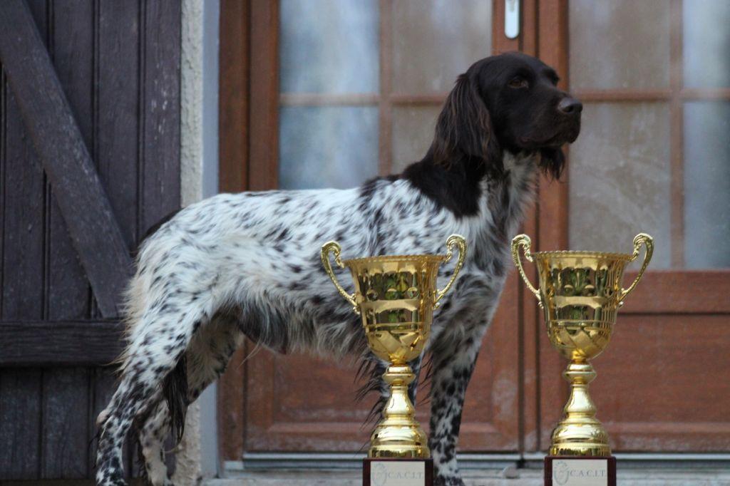 Photo de NOVAK 