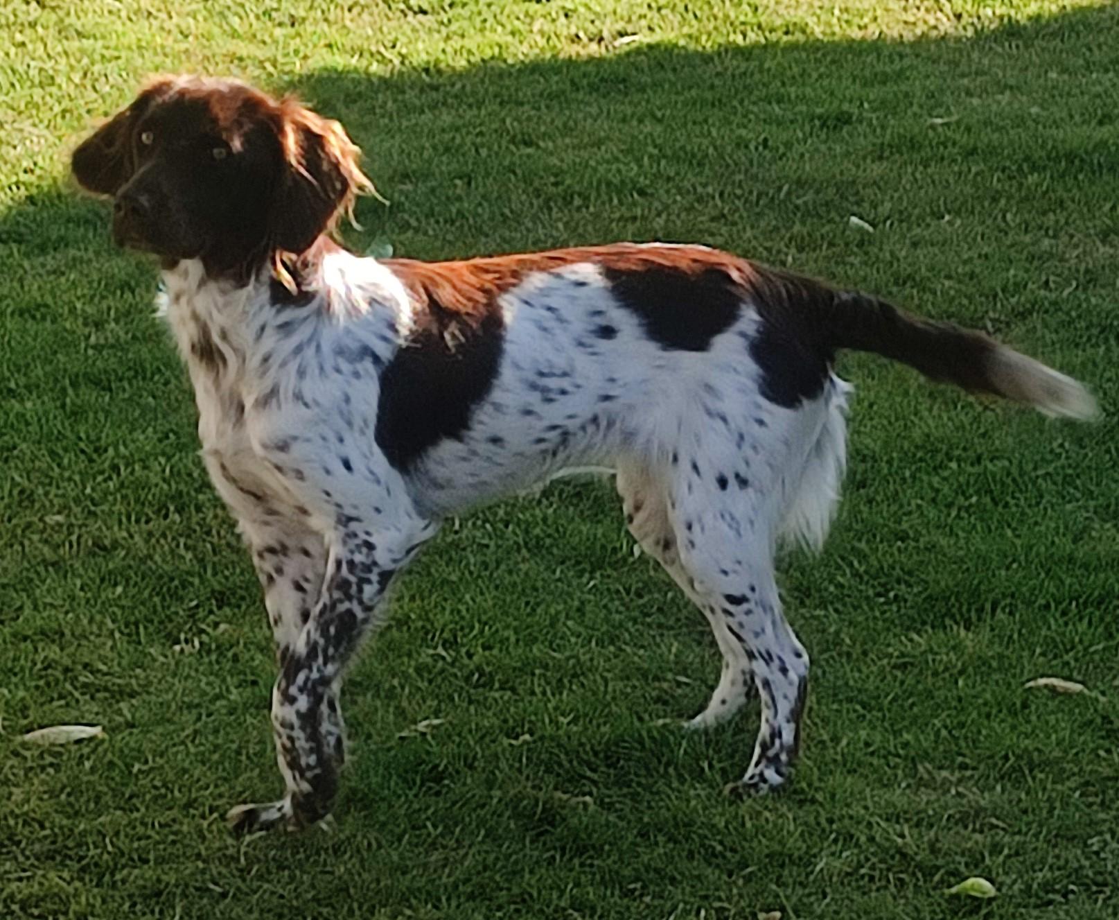 Photo de TESSA DU MOULIN DE LUCY
