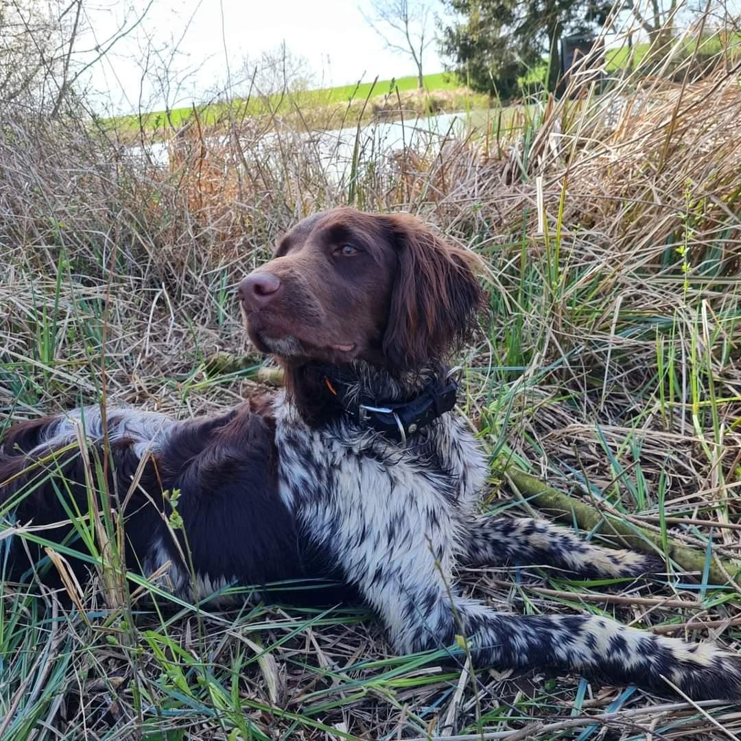 Photo de SIANA DU BOIS DE VIZY