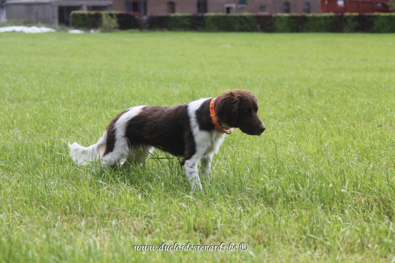 Photo de ORTENSE DE WACOURT