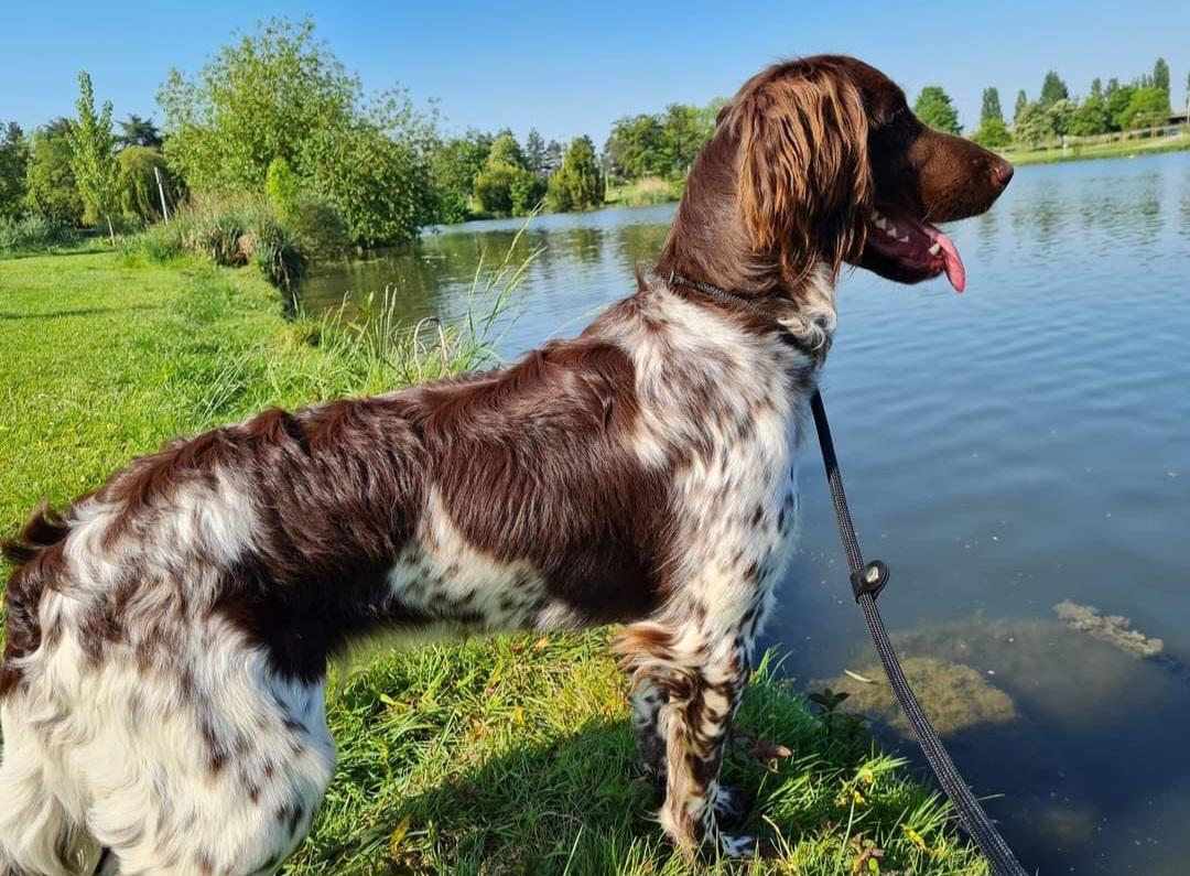 Photo de SIANA DU BOIS DE VIZY