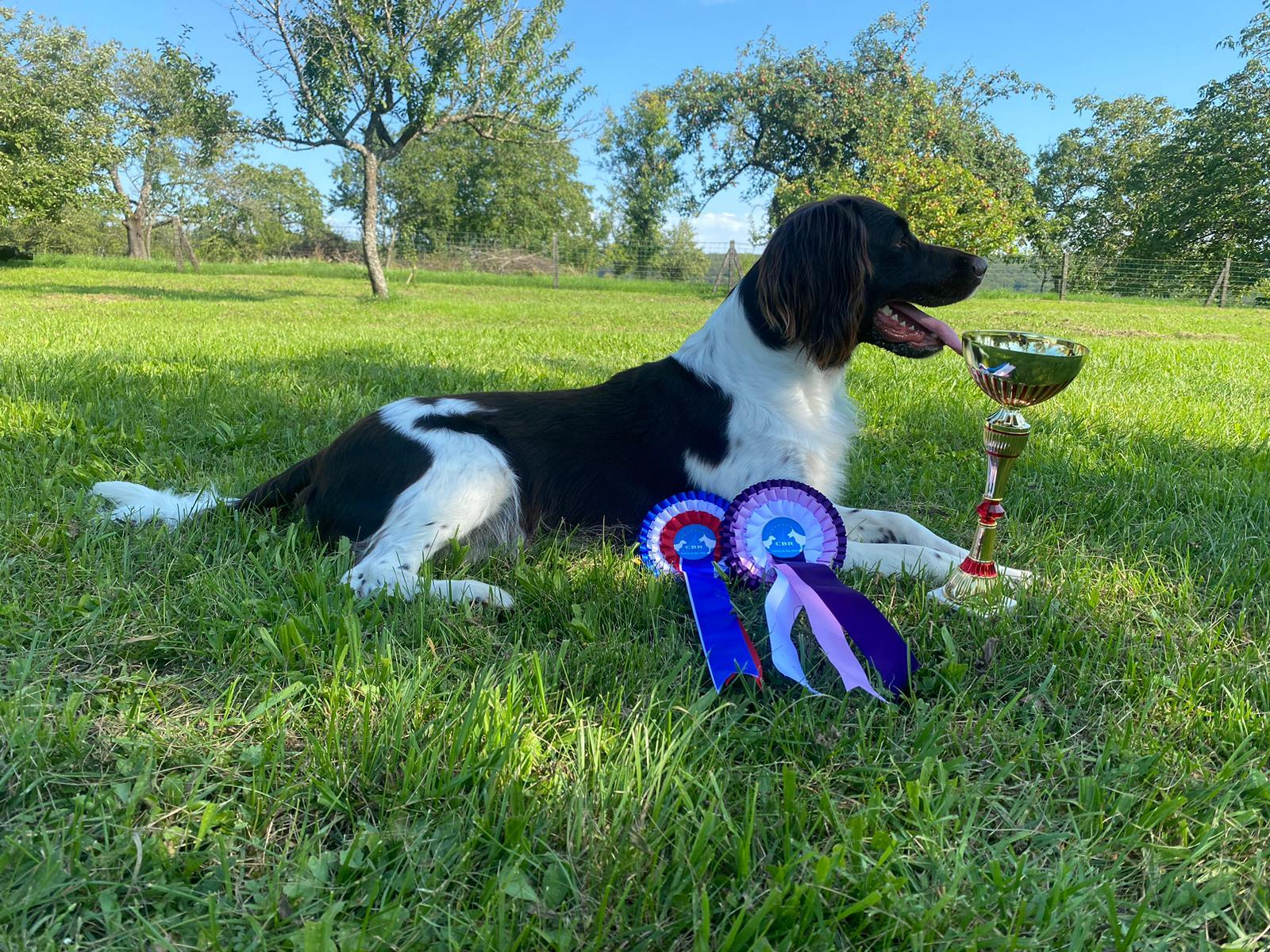 Photo de RAÏKO DE LA CIERNA ZVIERA