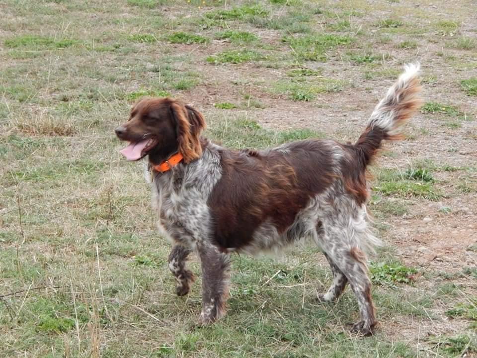 Photo de LOUNA 