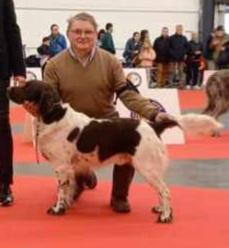 Photo de PRINCE DE LA SOURCE RIANTE